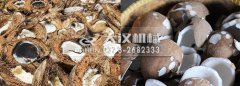 <b>椰殼篩分就用不鏽鋼直排篩</b>